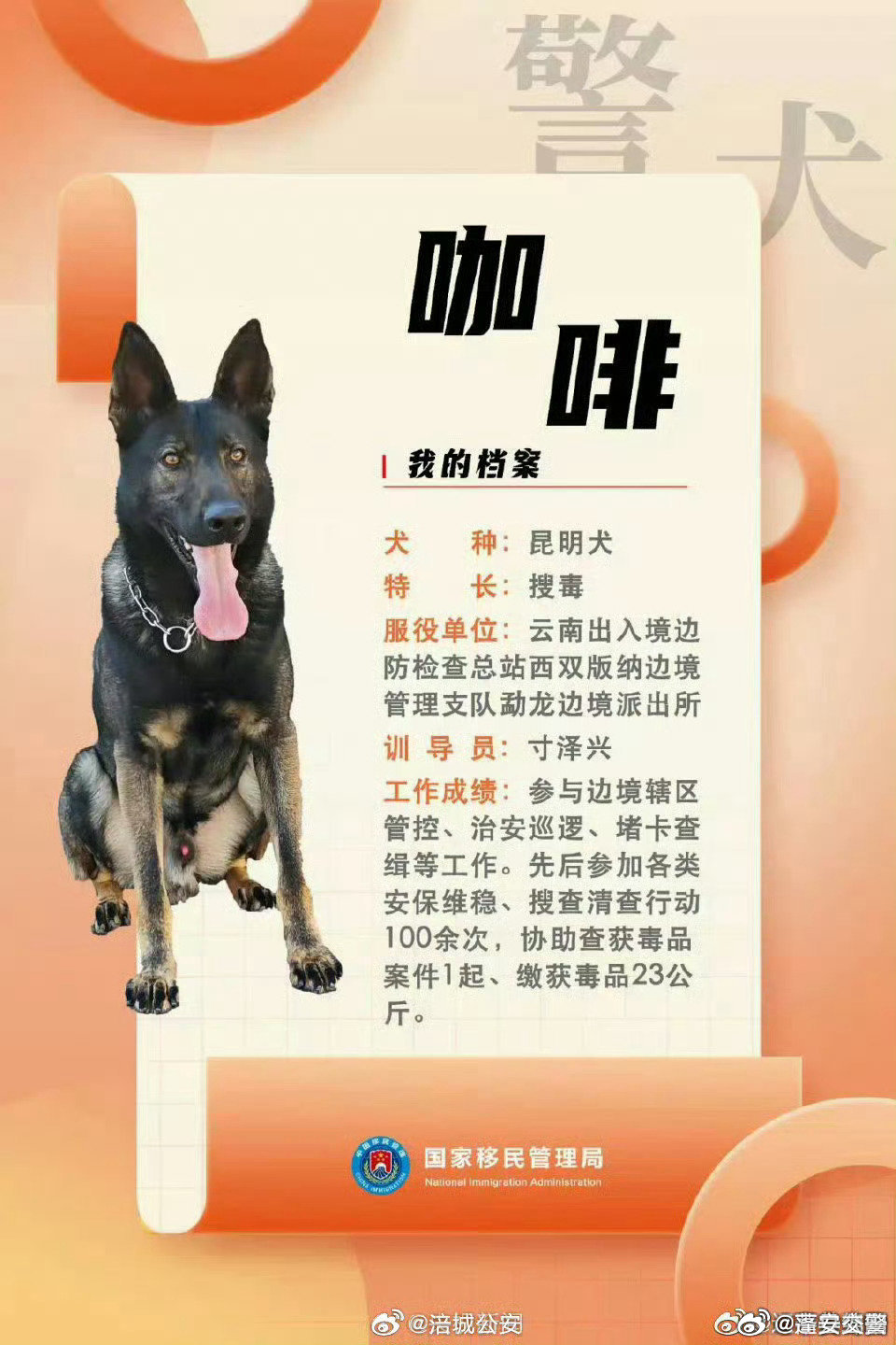 警犬因上班没精神被通报批评