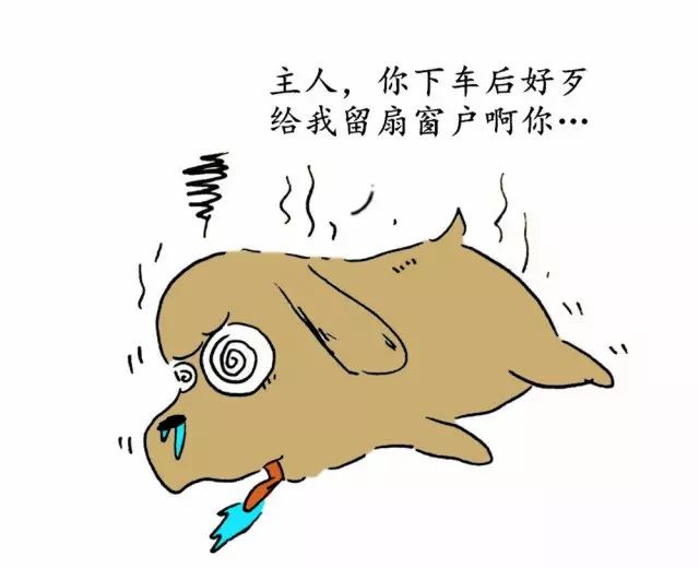 掉了就死的生存法则，逆境中的坚韧与重生