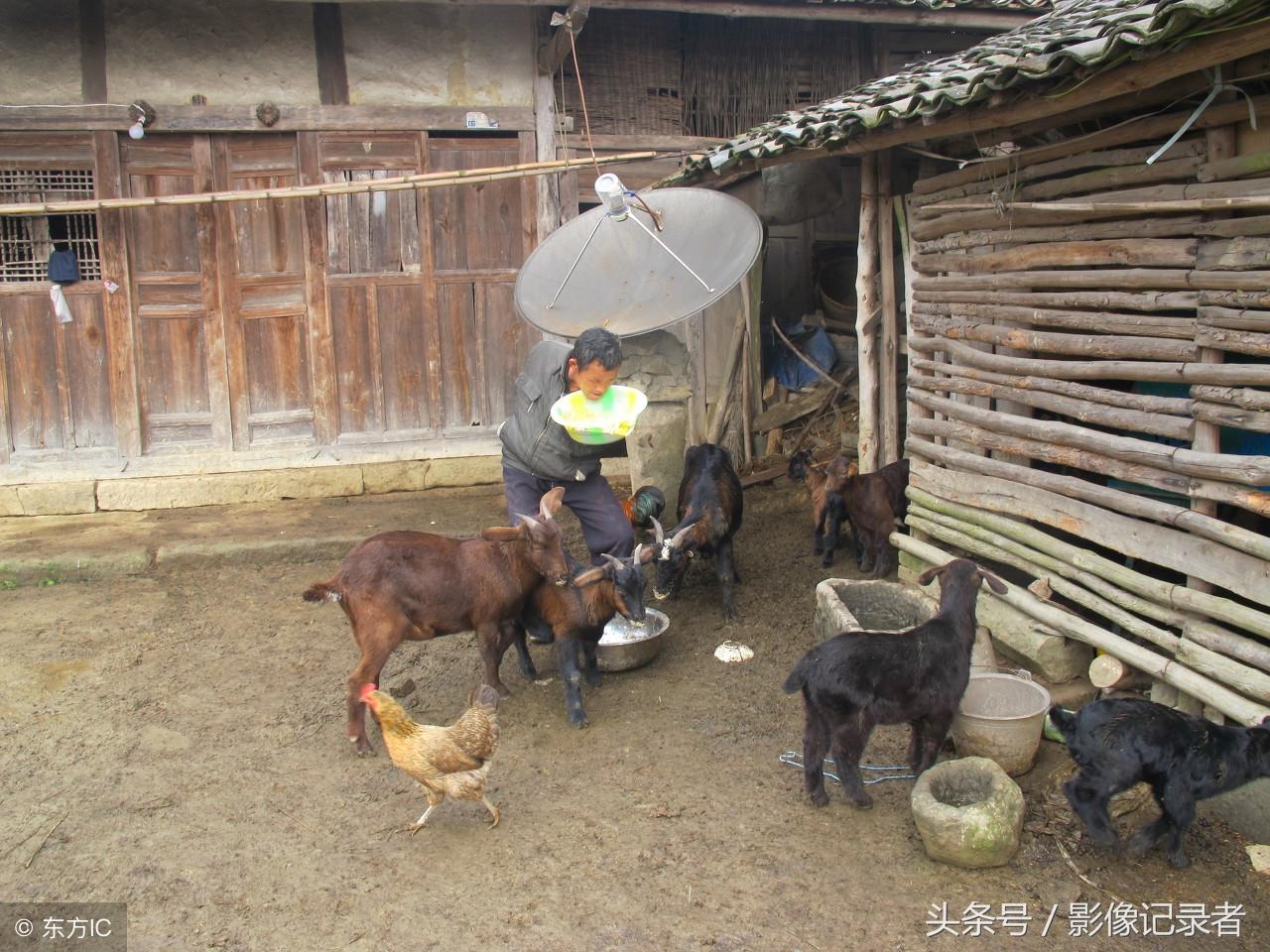 陈星越闪耀央视综艺舞台，星光熠熠的录制之旅