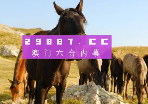 管家婆一肖一码澳门码资料体验不同文化的魅力与风情,管家婆一肖一码澳门码资料_{关键词3}