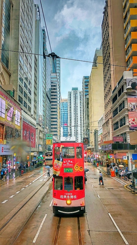 二四六香港资料图库内部报告与市场趋势研究,二四六香港资料图库_{关键词3}