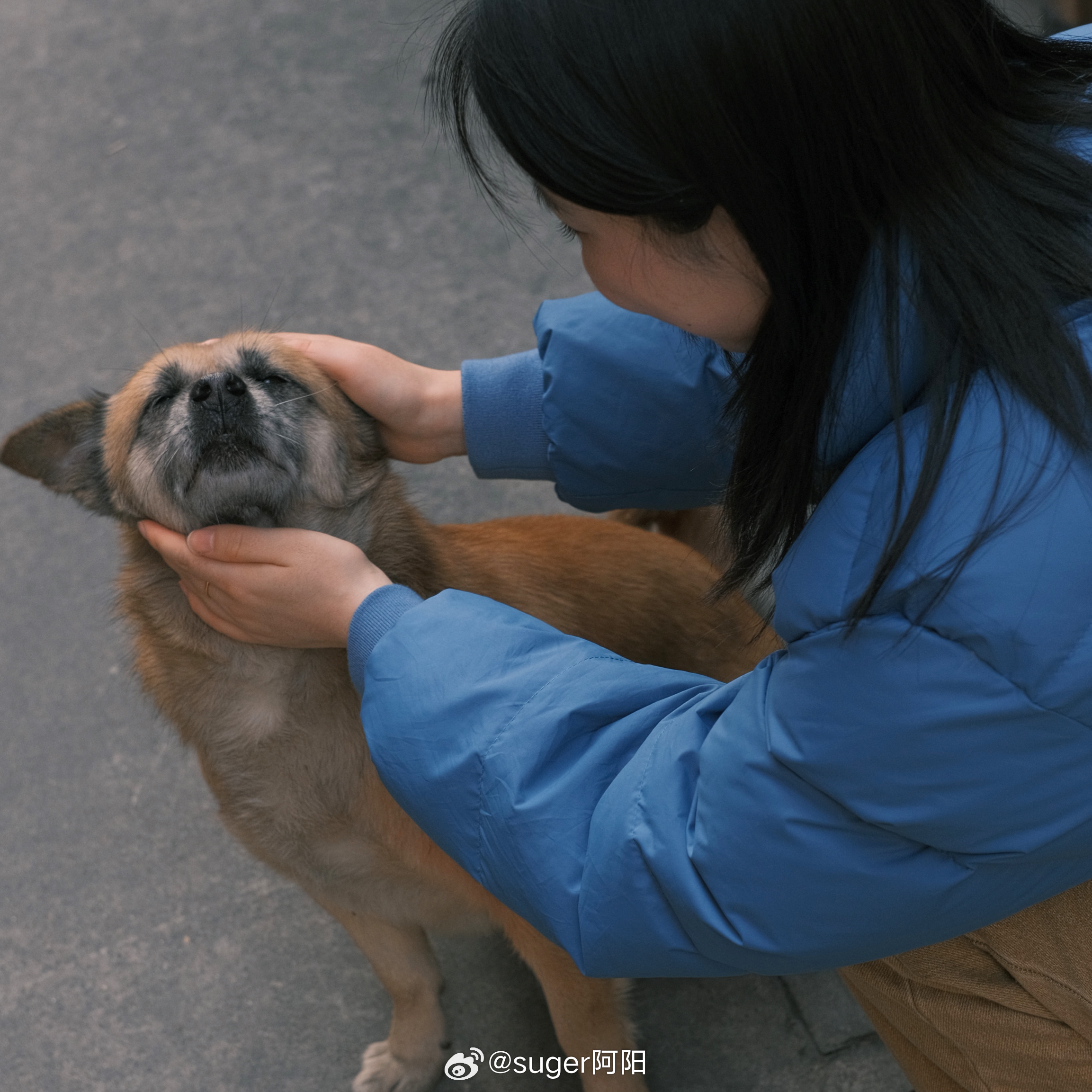 意外大年初一、与狗狗的温馨互动