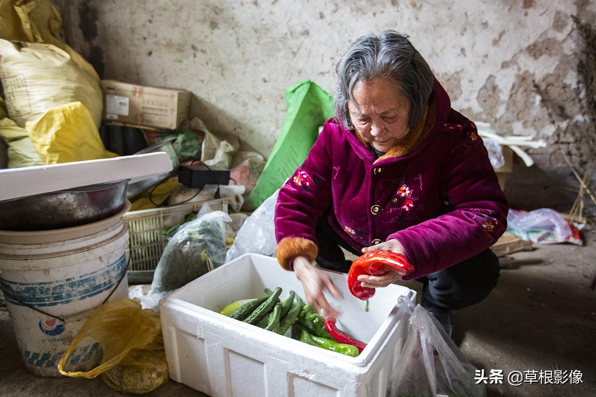 当爸妈出去拜年，家里却来了亲戚