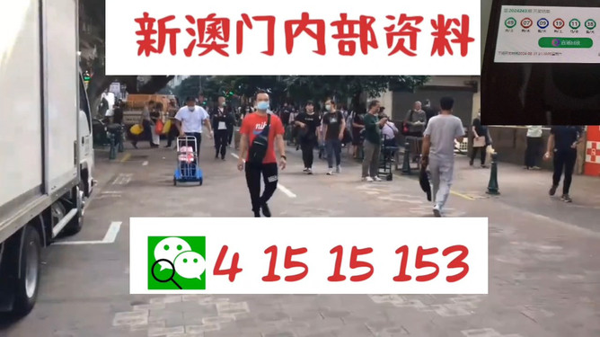 管家婆一码一肖必开青年的新学习方式，充满活力与创意,管家婆一码一肖必开_Executive43.785