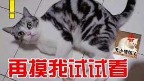 揭秘躲猫猫大师！神秘人物引领潮流，掀起全民娱乐新风尚！