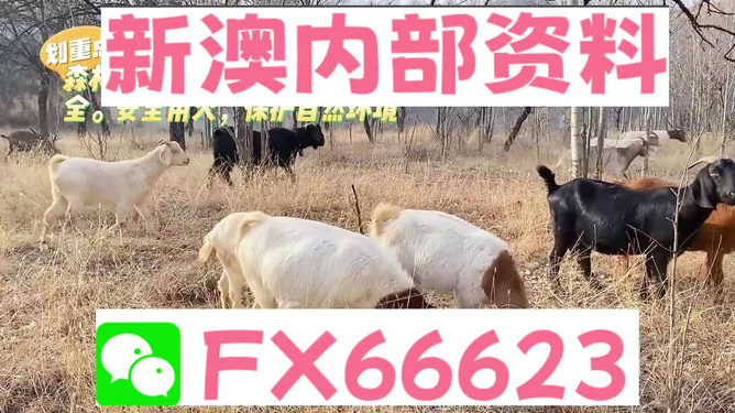 新澳2024今晚开奖资料四不像在酒吧中畅谈，激发灵感与创意,新澳2024今晚开奖资料四不像_3D47.745