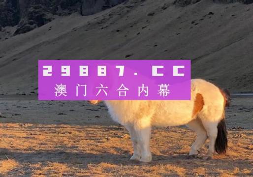 使用攻略 第262页