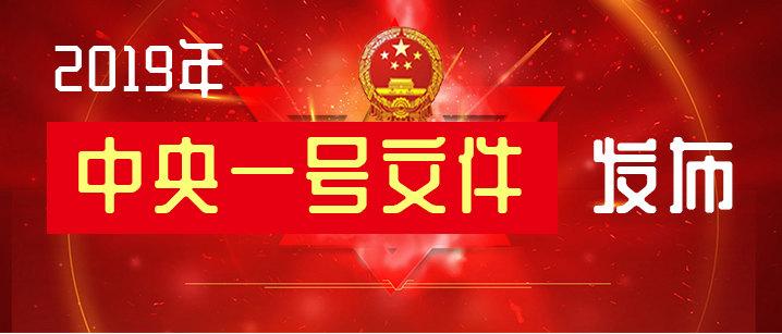 重磅！中央一号文件发布，农民迎来惊天利好，乡村振兴将如何改写未来？