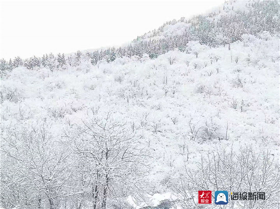 惊！淄博阳春三月突降鹅毛大雪，反常天气背后暗藏什么玄机？