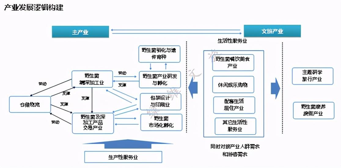 震惊！甲方竟完美实现我的终极幻想，背后真相让人泪目♥