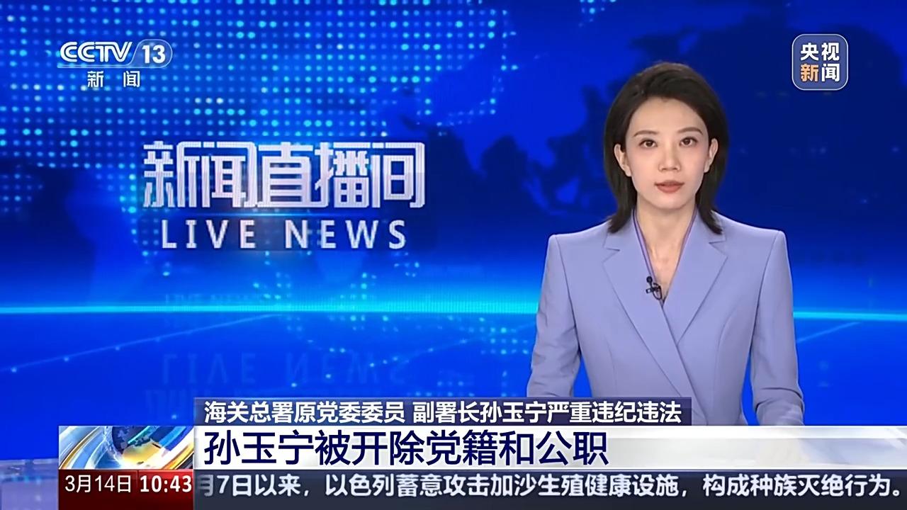 海关总署原副署长孙玉宁被双开