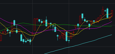 2025年3月15日 第4页