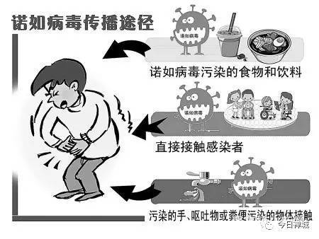 震惊！诺如病毒偏爱小孩？真相让所有家长坐不住了！