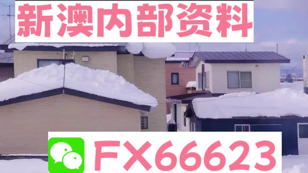 震惊！新奥天天精准资料大全竟藏如此玄机？RemixOS27.336助你2024年愿景提前实现！