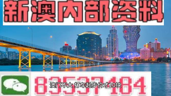 惊爆！新澳门全年免费料大揭秘，tool81.399带你感受城市独特风情与活力，错过后悔一整年！